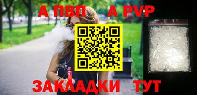 a pvp Кингисепп